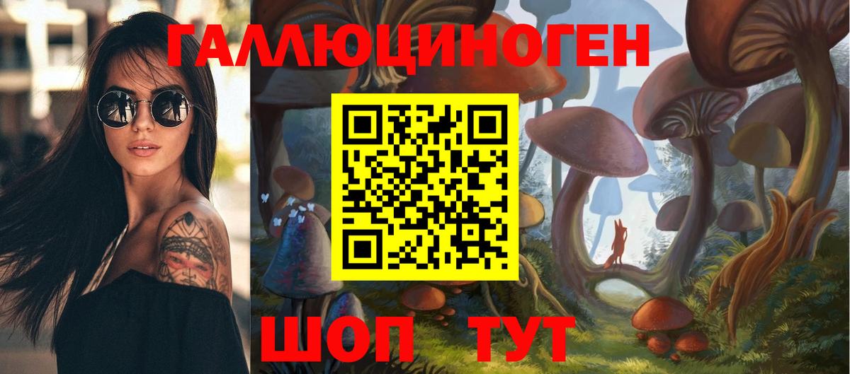 Псилоцибиновые грибы Psilocybe  Вход с VPN  Галлюциногенные грибы ЛСД  Избербаш 